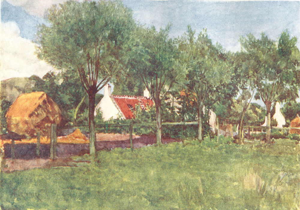 BELGIUM. A Farmsteading 1908 old antique vintage print picture